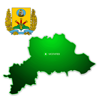 Менеджер по Могилевской области